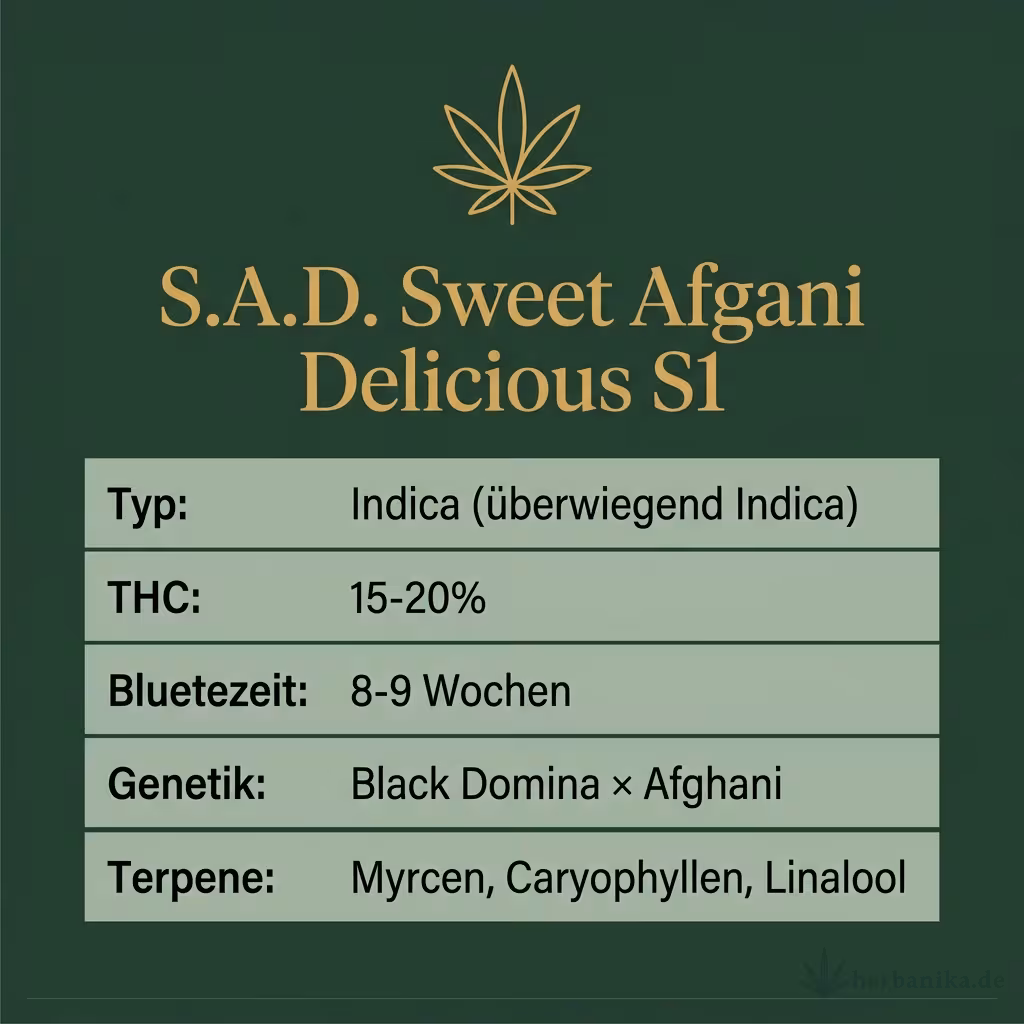 Infografik mit S.A.D. Sweet Afgani Delicious S1 Key Facts: Typ Indica (überwiegend Indica), THC 15-20%, Bluetezeit 8-9 Wochen, Genetik Black Domina × Afghani und Terpene Myrcen, Caryophyllen, Linalool