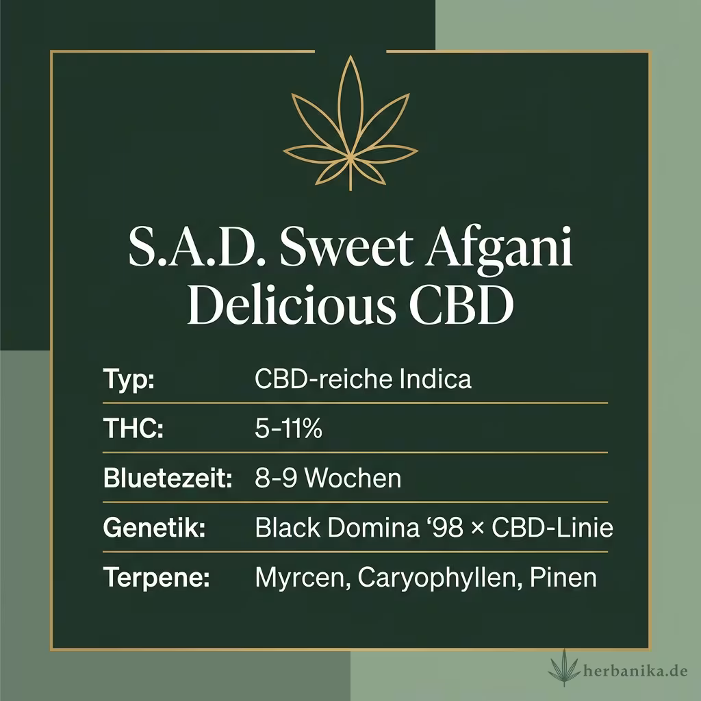 Infografik mit S.A.D. Sweet Afgani Delicious CBD Key Facts: Typ CBD-reiche Indica, THC 5-11%, Bluetezeit 8-9 Wochen, Genetik Black Domina '98 × CBD-Linie und Terpene Myrcen, Caryophyllen, Pinen